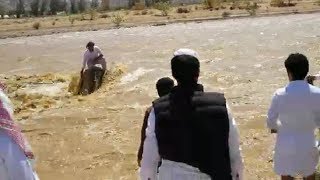 LiveLeak - They were warning driver to cross the stream flood.