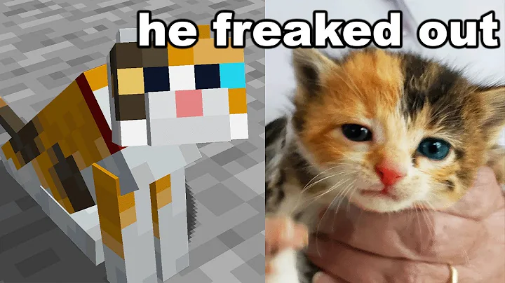 I Got My Brother His Minecraft Cat in Real Life - DayDayNews