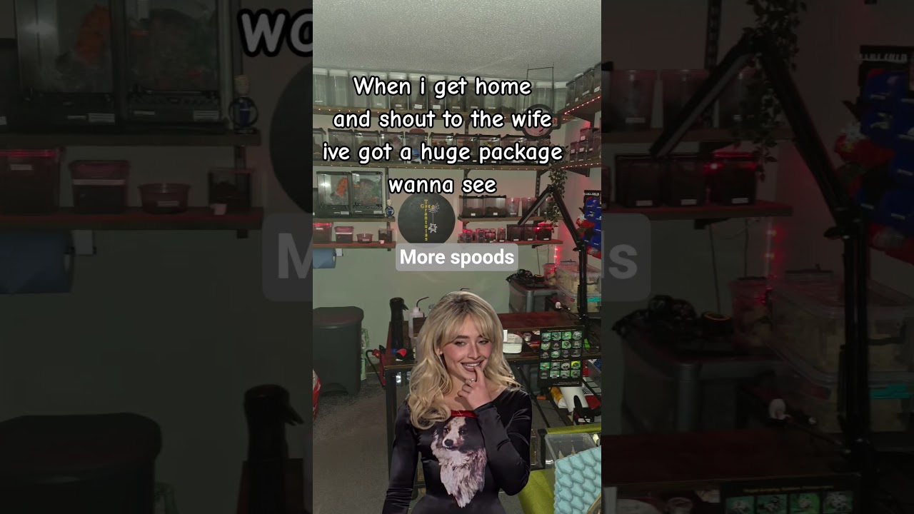 Special delivery! #fypage #funny #shortsyoutube #spider #tarantula #delivery