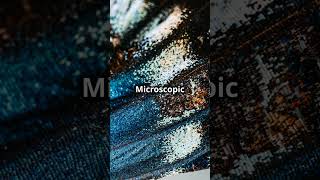 The Physics of Butterfly Wing Colors 🦋🔬 #Physics #Butterflies #Nature #Science #Colors