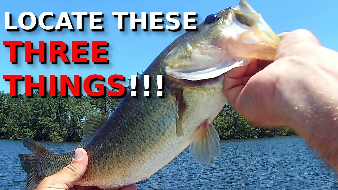 THIS Can Make August Bass Fishing So EASY!!!!