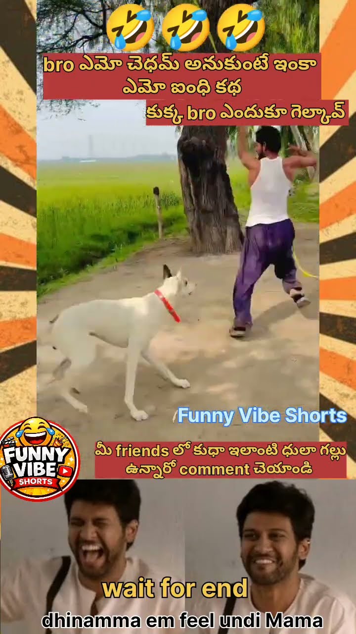 🤪సమ్మర్ ఫన్ మీమ్స్🌞 - ShareChat