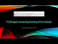 Fiji imagej automating counting of foci in nuclei