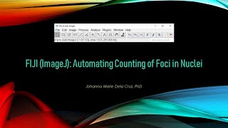 FIJI (ImageJ): Automating Counting of Foci in Nuclei