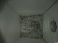 Nestbox 20181006/19:00 - 24 frames with movement