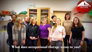 AOTA Student Centennial Challenge (Centennial Video)