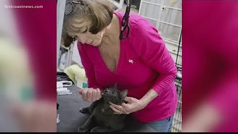 12 Who Care: Lisa Hoff works hard to save lives, n...