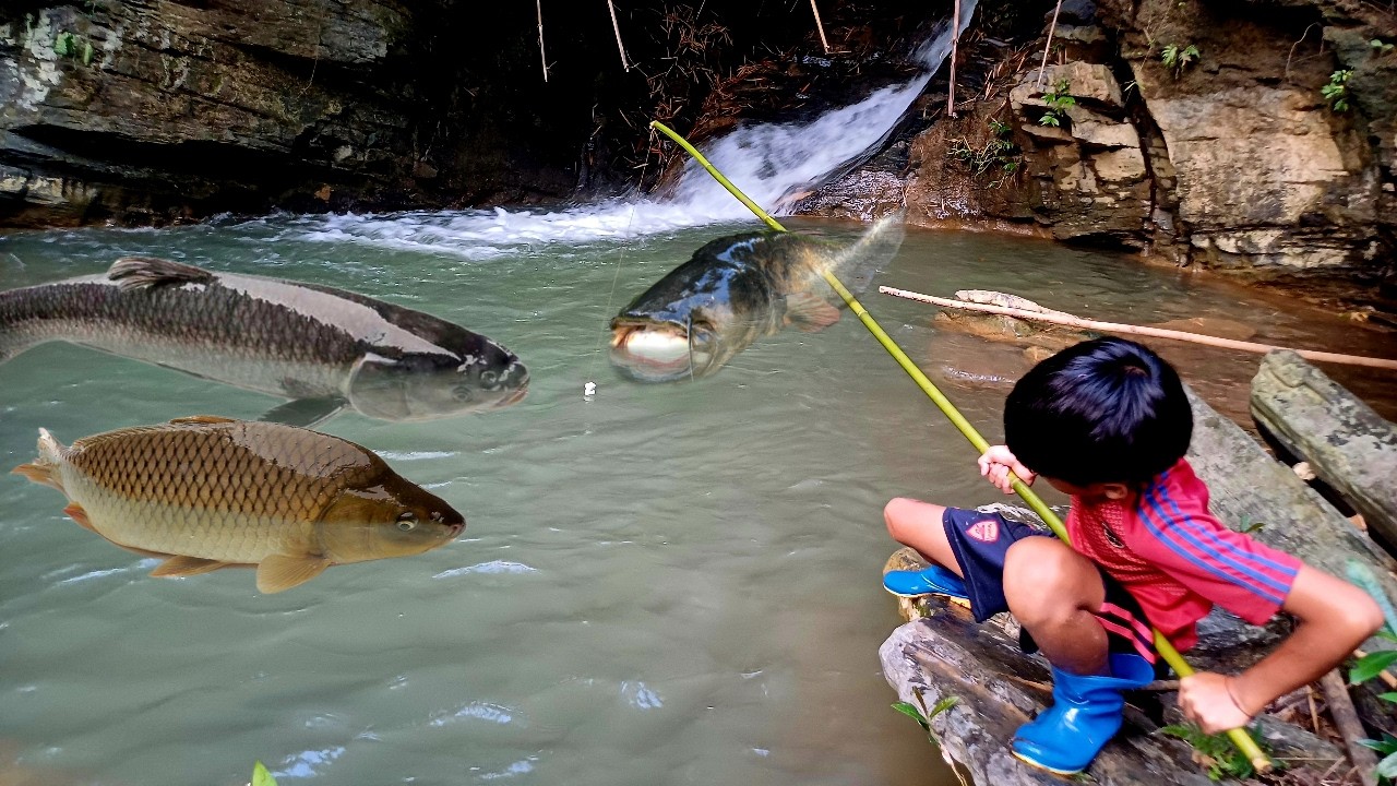 A homeless boy suddenly caught many kinds of fish in a stream that few ...