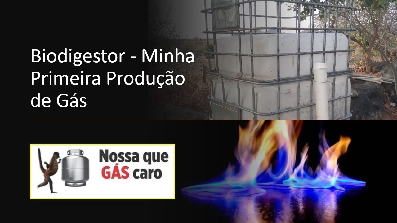 BIODIGESTOR: MINHA PRIMEIRA PRODUÇÃO DE GÁS | Biodigestor [🔥]
