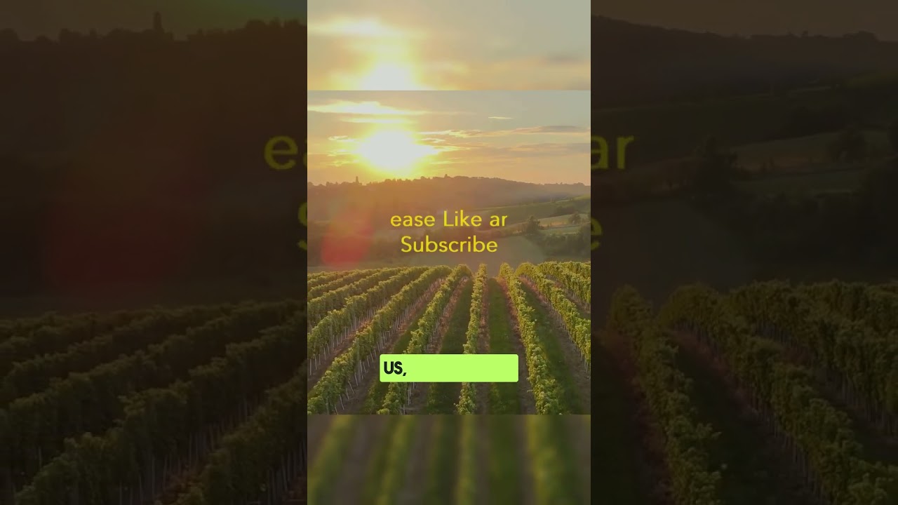 Living Connection with Christ 