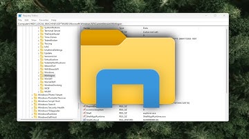 Explorer.exe Not Starting With Windows 10/11 [FIX[