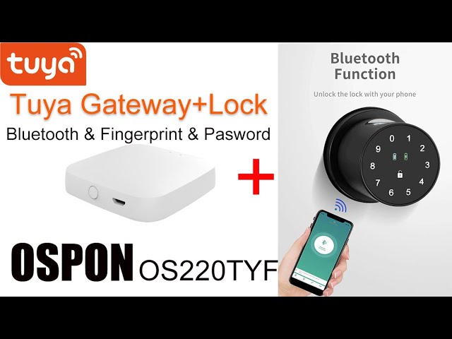 Smart Solution for Bluetooth Socket Gateway-Tuya Smart