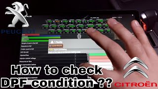 Peugeot-Citroen diagnostic tool. How to check your DPF's life with FAP app. Erase faults & Live data screenshot 5