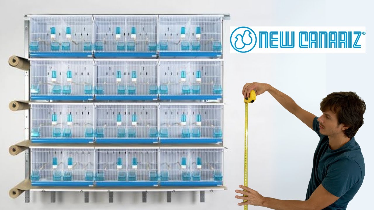 JAULAS  NEW CANARIZ RESOLVIEDO PREGUNTAS