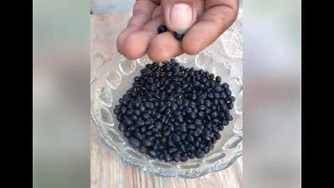 Chữa suy thận với Cỏ mực và Đậu lòng xanh