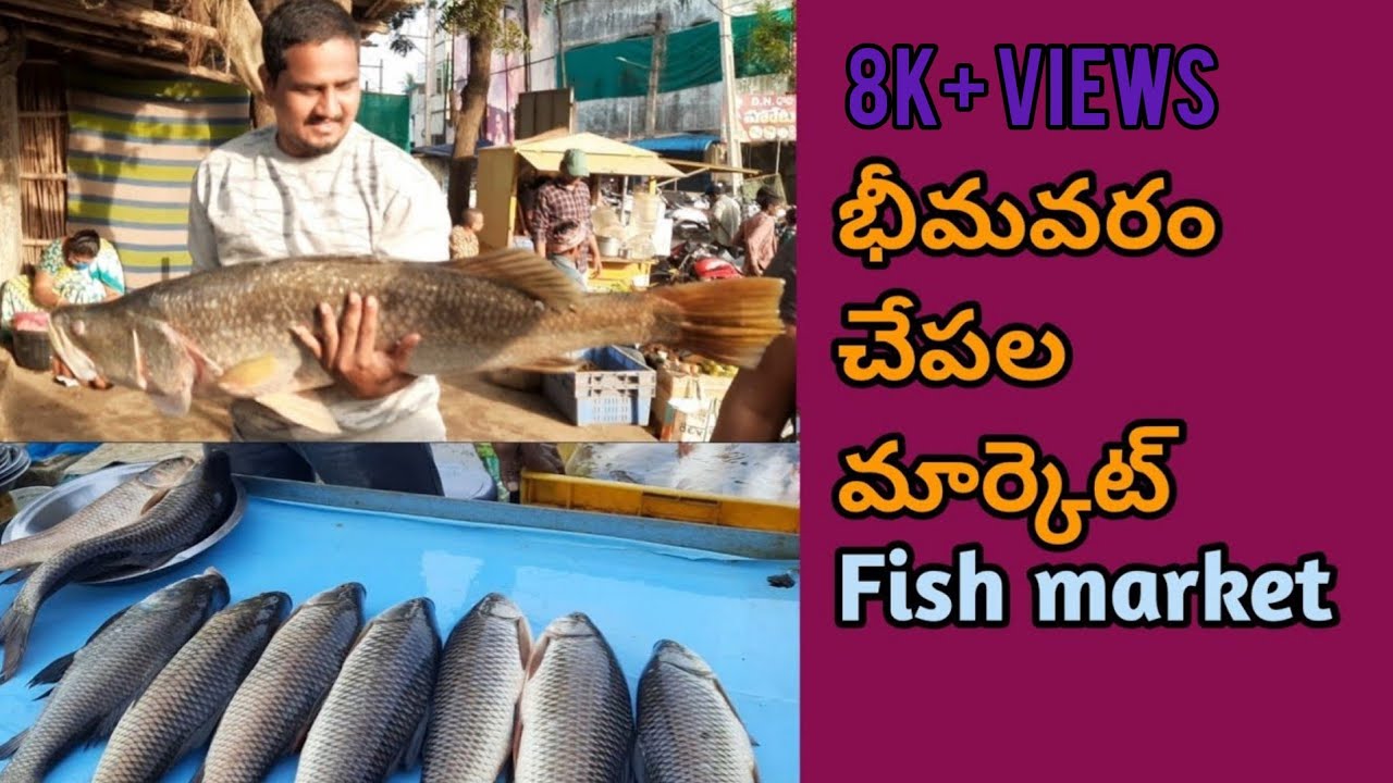 Bhimavaram fish market West godavari district Fish market YouTube