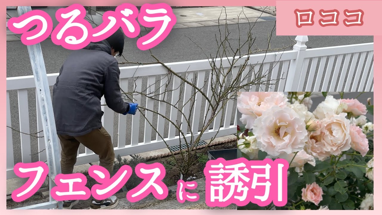 お値下】パーテーション 衝立（薔薇、ロココ調） 特価！アンティーク調