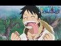 ONE PIECEã€€ç¬¬805è©±äºˆå‘Šã€Œé™ç•Œå‹è² ã€€ãƒ«ãƒ•ã‚£ã¨ç„¡é™ãƒ“ã‚¹ã‚±ãƒƒãƒˆã€