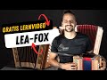 Leafox  lern1teil