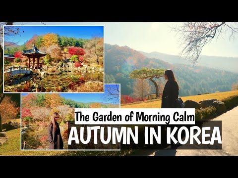 THE GARDEN OF