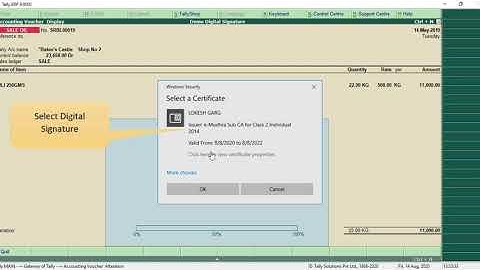 Digital signature in Tally