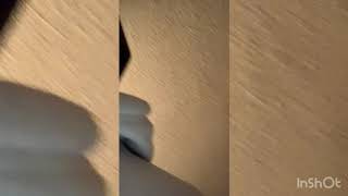 TWH6 VLogs “I KNEW IT RIGHT /SWITCH