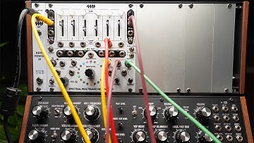 Planting Roots || 4MS Spectral Multiband Resonator + Moog DFAM