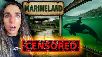 Europe's Largest Aquarium with ANIMALS INSIDE Closes | Silenced: I'll explain | Marineland