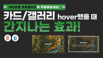 HTML+CSS활용하여 카드/갤러리에 hover시 간지나는 효과만들기!