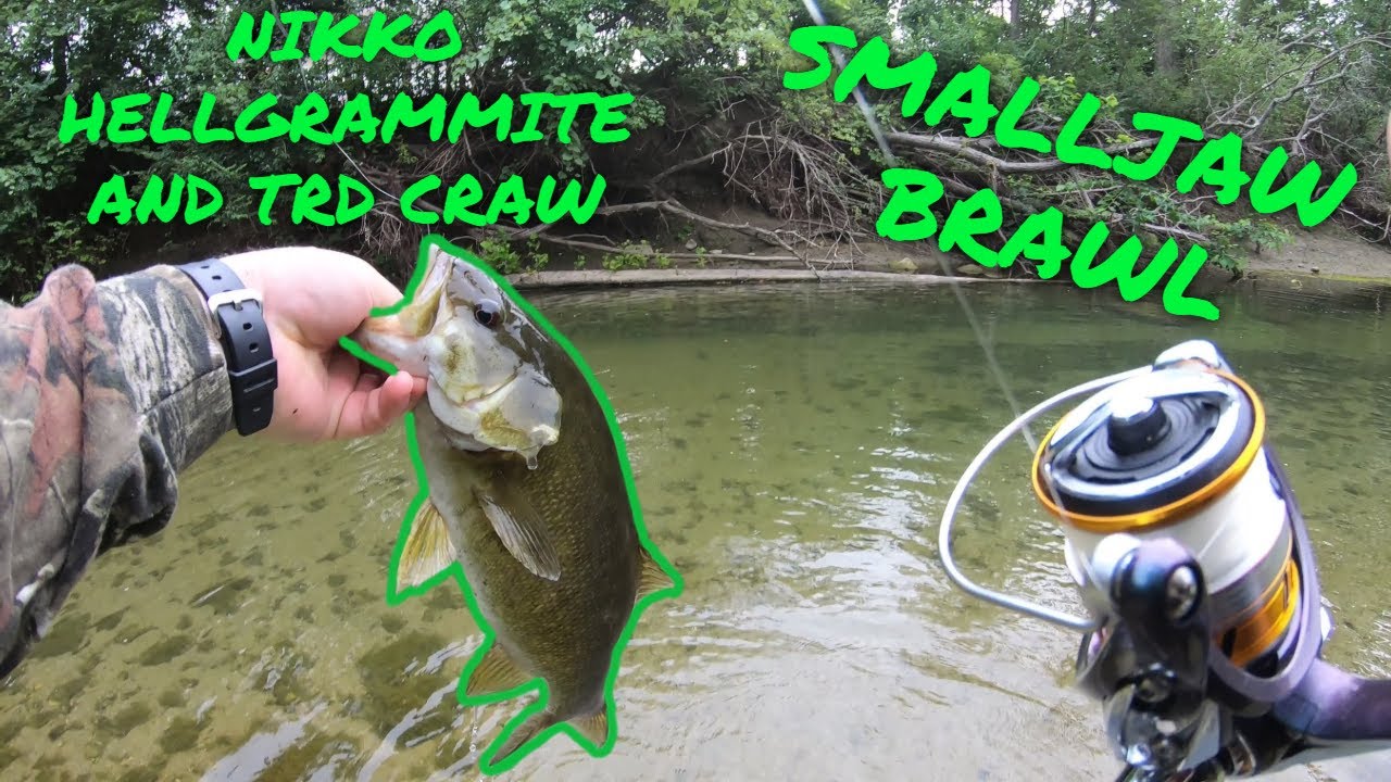 Creek Fishing in Ohio for Smallmouth Bass (Smalljaw Brawl Vol.1) YouTube