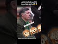 Totorina cel mai calificat mafiot