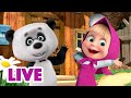 🔴 LIVE! Maşa İle Koca Ayı 🤩🤸 Her hafta sonu eğlence 😊🙌 Masha and the Bear