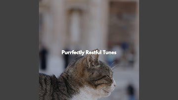 Superlative Ambiance for Open Work Space