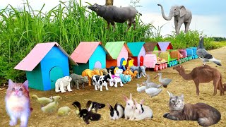 Trailer Trucks Transport Animals: Ducks, Cows, Goose, Rabbits, Cats, Camels, Elephants, Pigeons