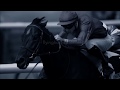 Whatever It Takes- Horse Racing Music Video