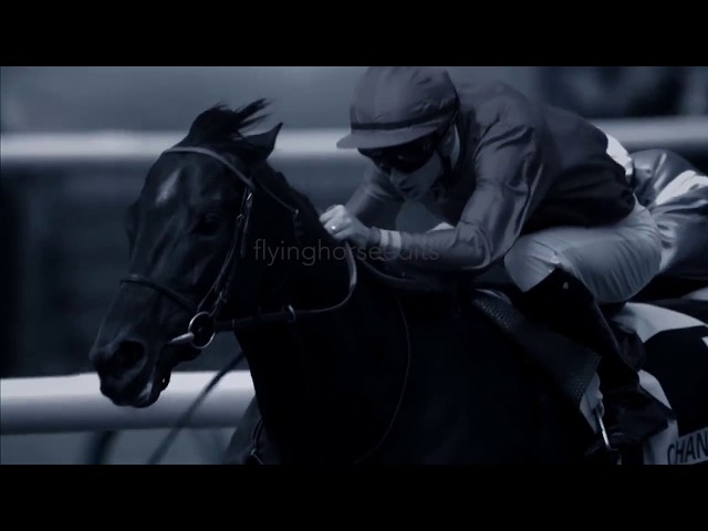 Whatever It Takes- Horse Racing Music Video class=