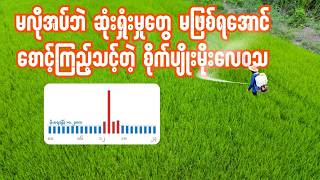 မလိုအပ်ဘဲ ဆုံးရှုံးမှုတွေ မဖြစ်ရအောင် စောင့်ကြည့်သင့်တဲ့ စိုက်ပျိုးမိုးလေဝသ (ENG subtitle include) screenshot 1