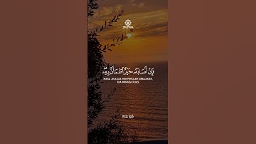 #سورة_الحج #ياسر_الدوسري #اذكروا_الله #صلوا_على_النبي #الله #يارب #قران_كريم #قرآن #لايك #اكسبلور