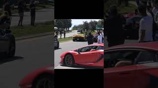 The Bulls Running at Cars and Coffee Central Florida