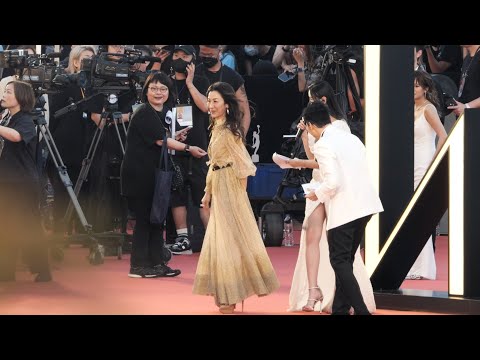 楊紫瓊 Michelle Yeoh - 沈殷怡、強尼 - 紅地氈 Red Carpet -《第四十一屆香港電影金像奬》頒奬典禮 - The 41st Hong Kong Film Awards