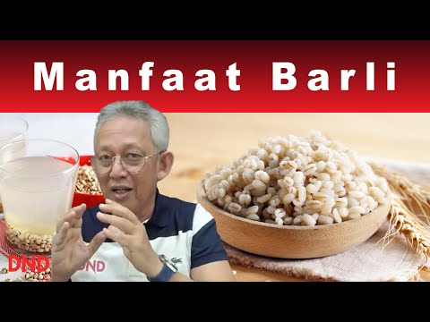 Video: Ciri-ciri Perubatan Barli Mutiara