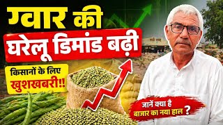 ग्वार की घरेलू डिमांड बढ़ी 