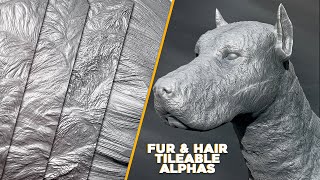 ZBrush Fur Sculpting. Hair and Fur Alphas Preview for ZBrush.