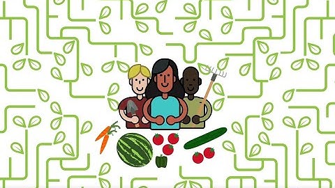 Why test your soil?