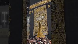 Pilgrims Circling the Holy Kaaba | لَبَّيْكَ اللَّهُمَّ لَبَّيْك#Hajj#Kaaba #LabbaykAllahummaLabbayk