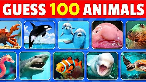Guess 100 Sea Animals in 3 Seconds 🐬 🦑 | Easy, Medium, Hard, Impossible