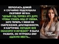 «Мой Муж Ограбил Меня и Бросил Без Копейки... Но Я Вернулась — И Устроила Ему Адскую Месть!»
