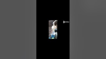 Data Pipelines Python Julia Bioinformatics by Erokhane via NotebookLM 1