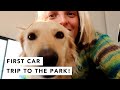FIRST CAR TRIP TO THE PARK! | Estée Lalonde