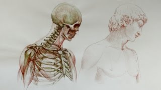 How to Draw a Realistic Face - Anatomy Master Class
